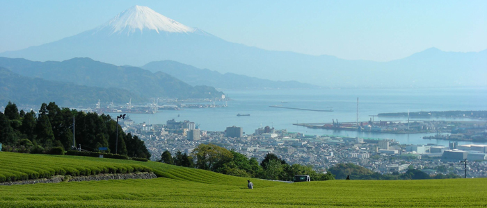 富士山や茶畑を望める静岡市の風景